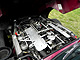 1974 Jaguar E Type V12 Roadster Serie 3